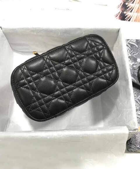 Christian Dior The Leather Vanity Bag Black